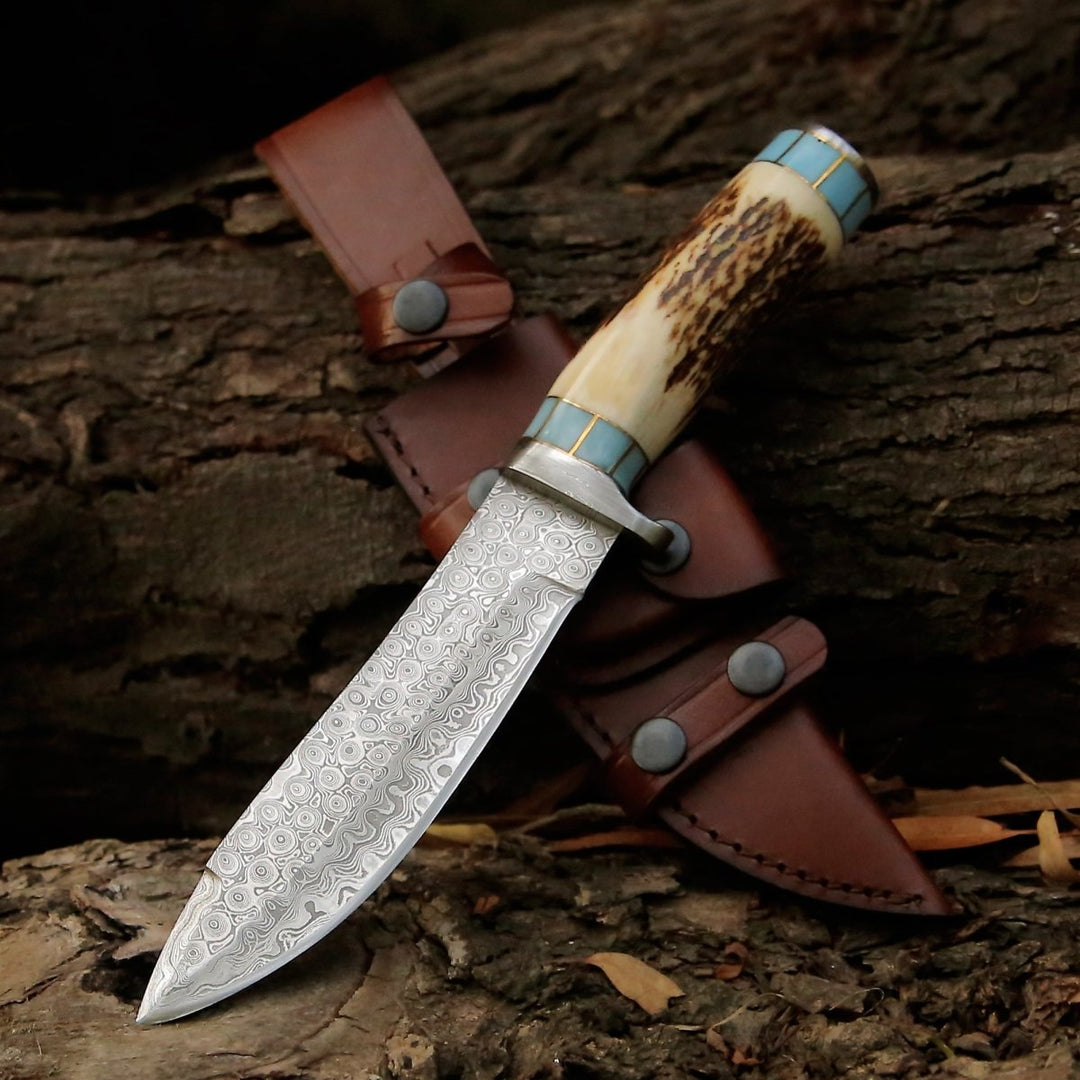 Damascus Knife - Viral Bull Nose Hunting Knife with Antler & Turquoise Handle - Shokunin USA