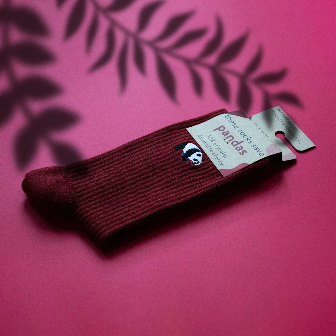 Building Your Pocket Knife Collection Tips for New Collectors