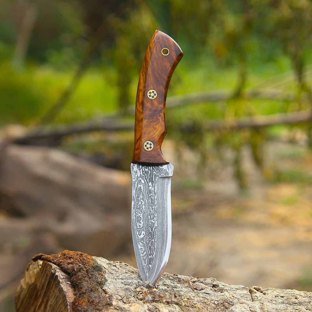 Decorative knife with a wooden handle on a tree stump in a forest setting