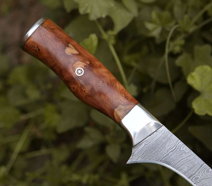 Fillet knife - Concord Damascus Fillet Knife with Exotic Olive wood Handle - Shokunin USA