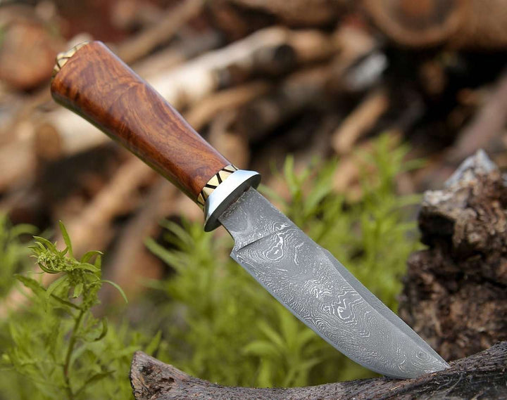 Utility Knife - Holy Defender Damascus Hunting Knife with Exotic Rose Wood Handle - Shokunin USA