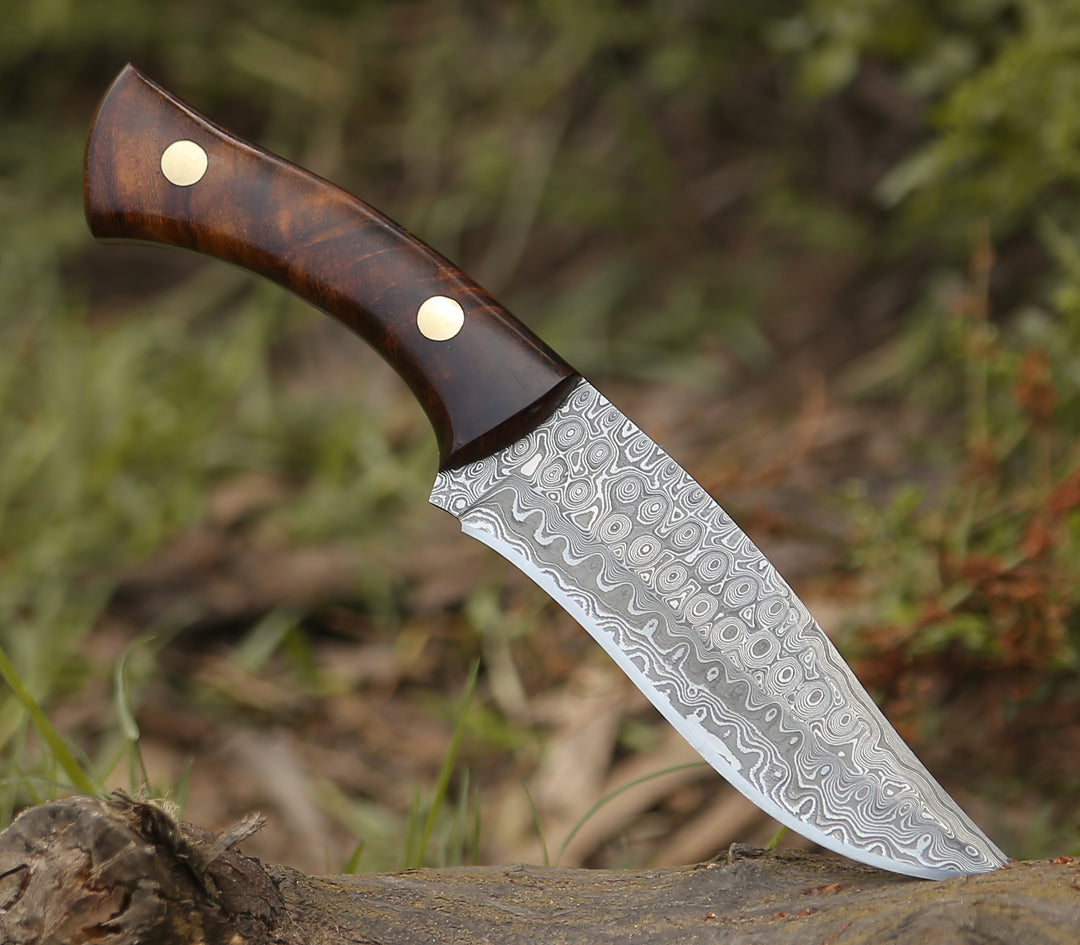 Virtue Damascus Hunting Knife Fixed Blade with Exotic Rose Wood Handle