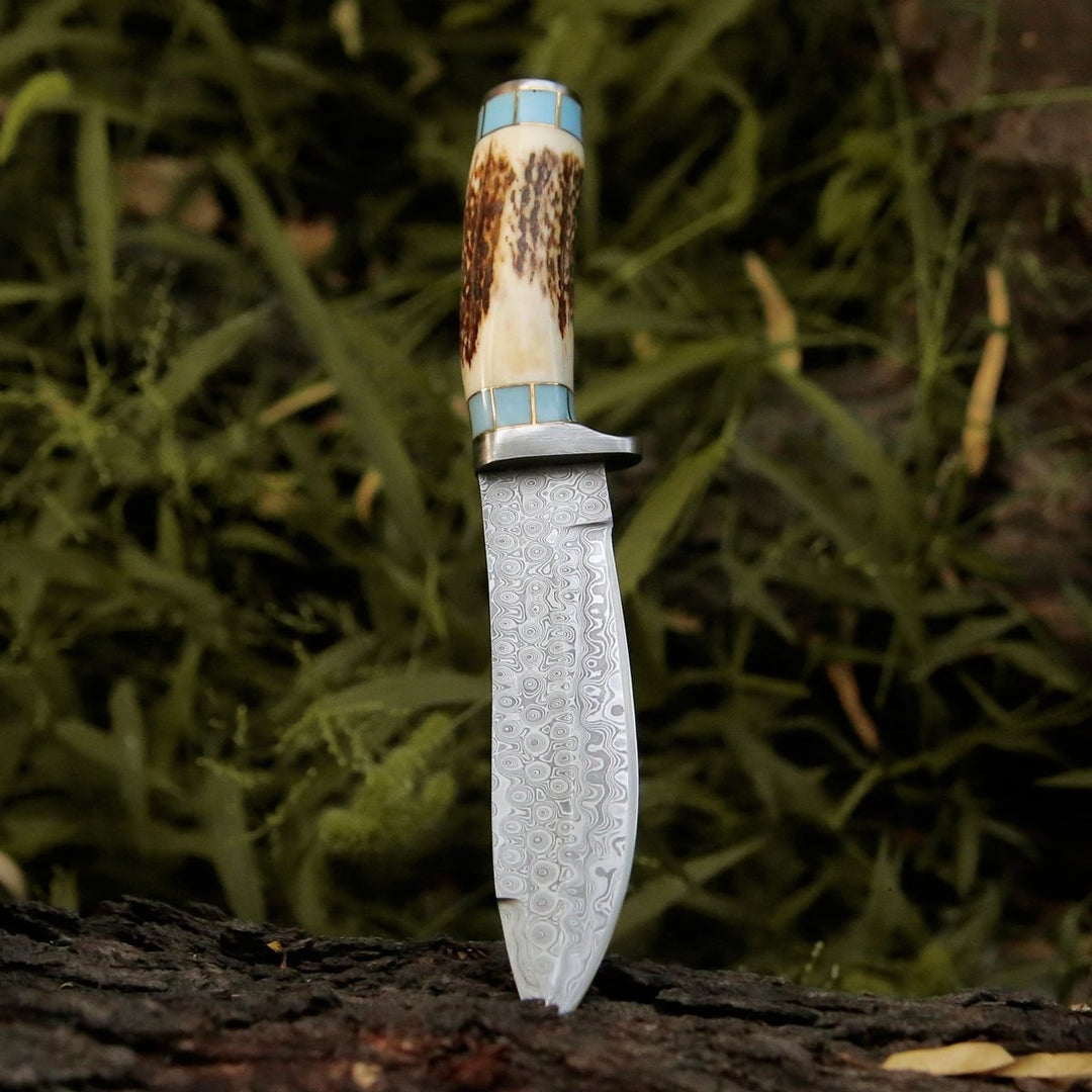 Personalized Hunting Knife – Viral Bull Nose Hunting Knife with Antler &amp; Turquoise Handle – shokuninusa
