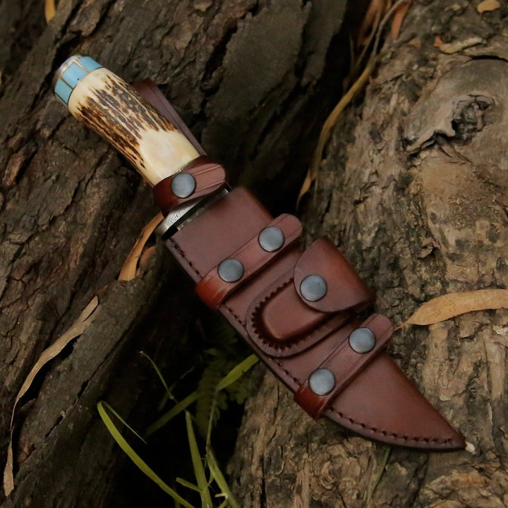 Turquoise Handles – Viral Bull Nose Hunting Knife with Antler &amp; Turquoise Handle – shokuninusa