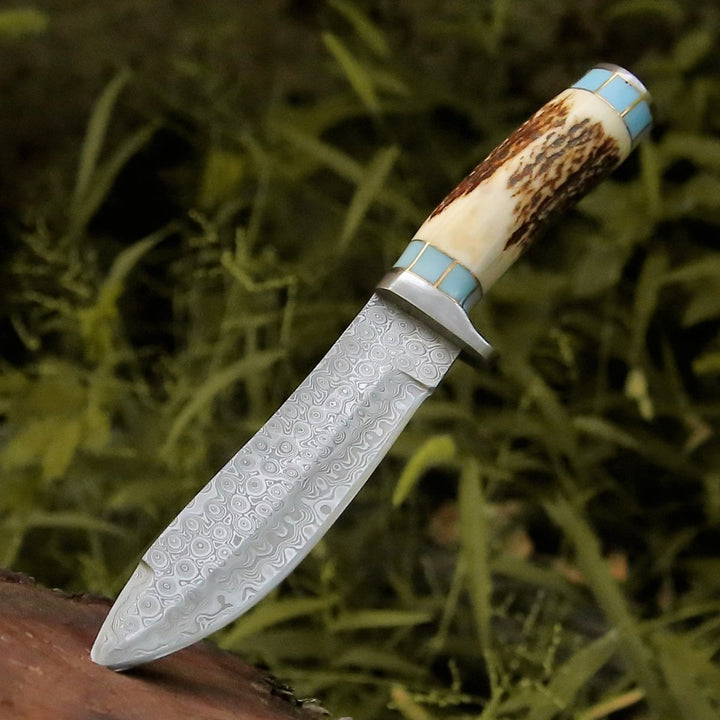 Viral Bull Knife – Viral Bull Nose Hunting Knife with Antler &amp; Turquoise Handle – shokuninusa