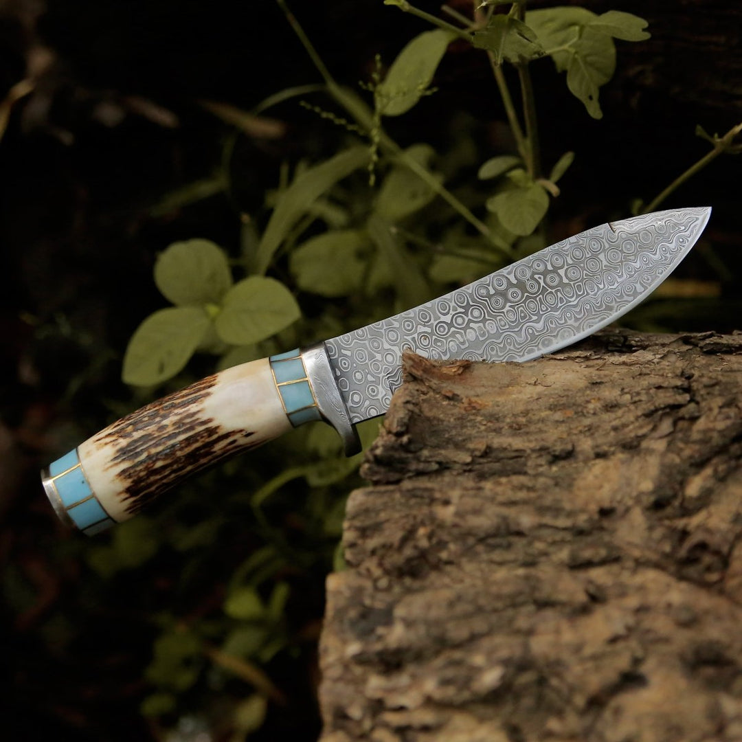 Antler Hunting Knife – Viral Bull Nose Hunting Knife with Antler &amp; Turquoise Handle – shokuninusa