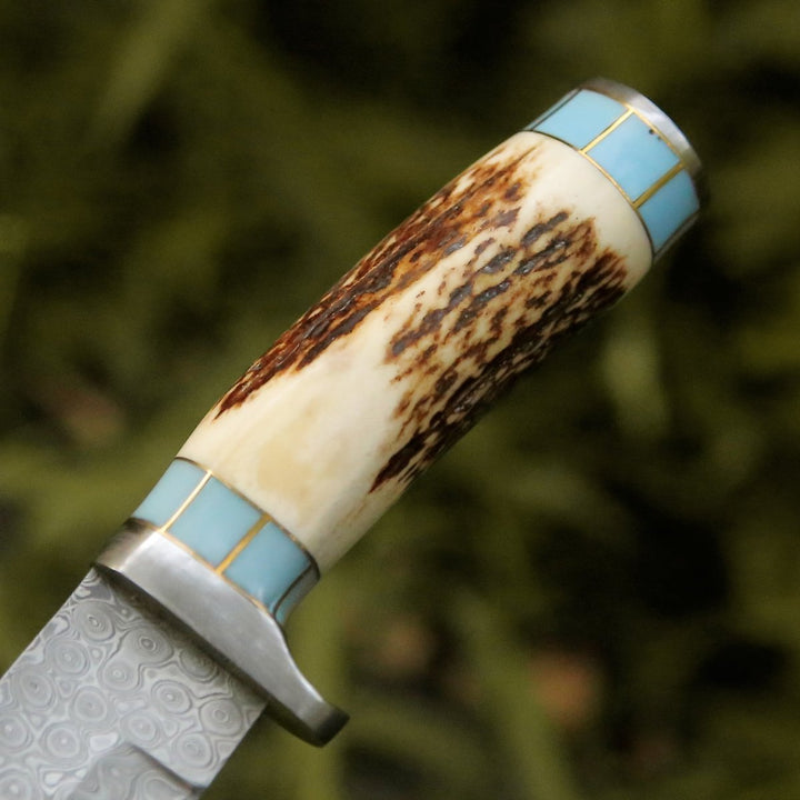 Viral Bull Knives – Viral Bull Nose Hunting Knife with Antler &amp; Turquoise Handle – shokuninusa