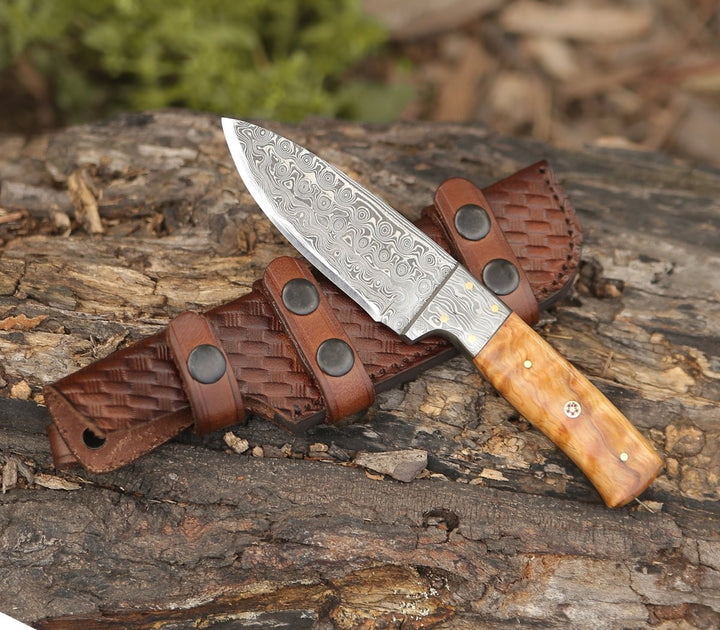 Camp Knife - Quantum Camp Knife with Olive Wood Handle - Shokunin USA