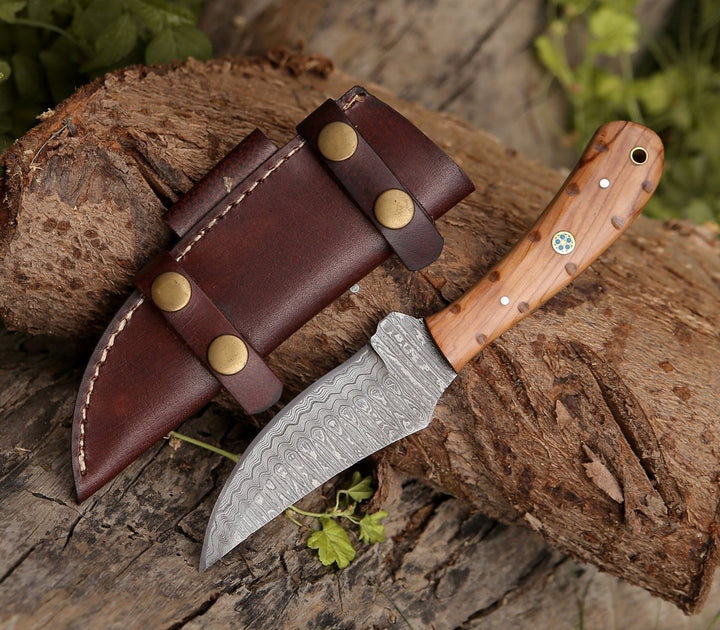 Damascus Knife - Spectral Field Dressing Knife with Olive Wood Handle - Shokunin USA