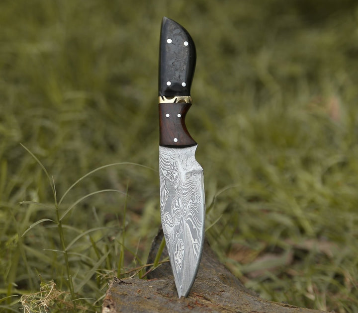 Damascus Knife - Trailseeker Every Day Carry Knife with Ram Horn & Rosewood Handle - Shokunin USA