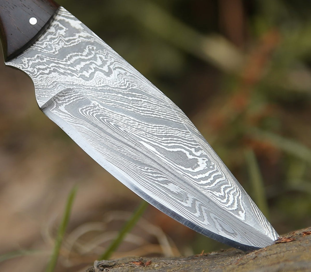 Damascus Knife - Trailseeker Every Day Carry Knife with Ram Horn & Rosewood Handle - Shokunin USA